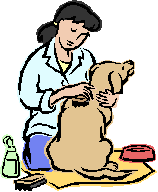 Girl and Dog