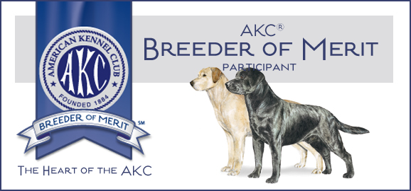 Breeder of Merit