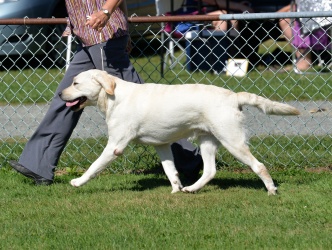 Burt Trotting